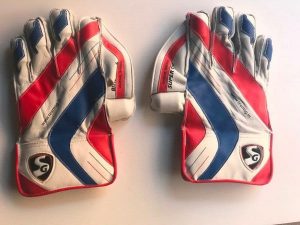 SG RSD WICKET KEEPING GLOVES